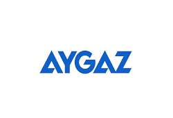 Uyarlar